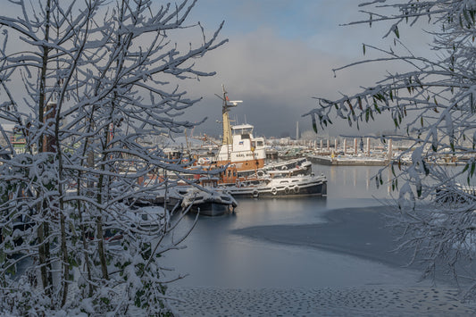 Limitierte Hamburg-Edition: "in Bereitschaft"